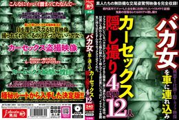 【バカ女を車に連れ込みカーセックス隠し撮り 4時間12人】の一覧画像