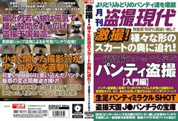 【激撮！様々な形状のスカートの奥に迫れ！一流盗撮テクニックから学ぶ】の一覧画像